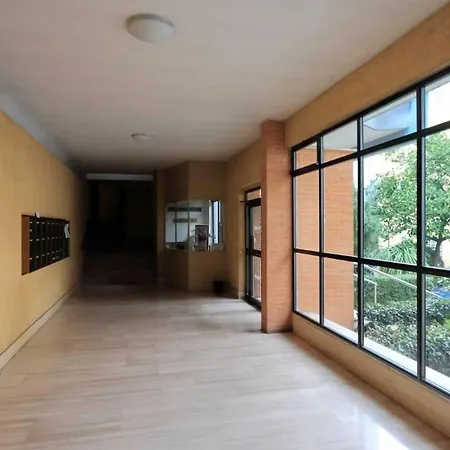 Modern Style In
